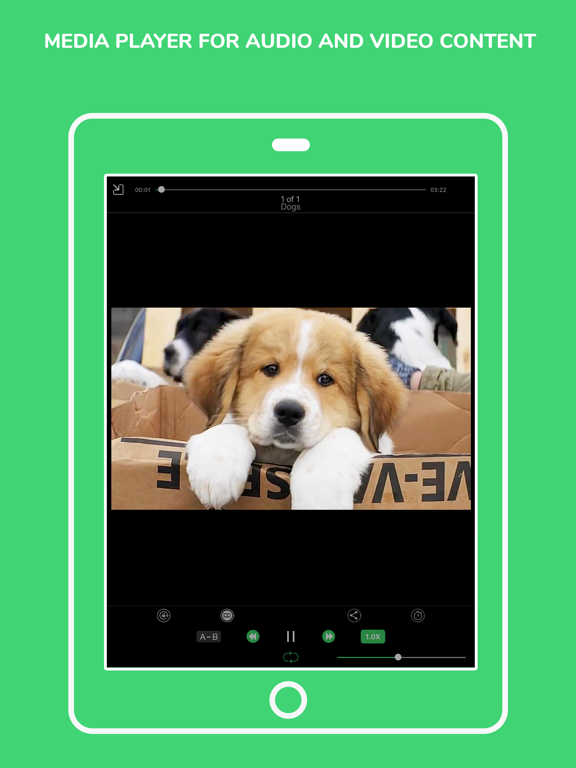 My File Organizer iPad screenshot 4 - Utilities app