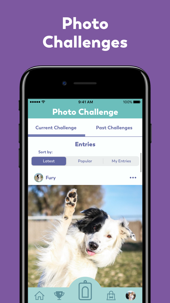 Puppr - Dog Training and Tricks