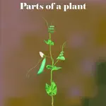 Learn Parts of a Plant App Alternatives