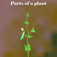 Learn Parts of a Plant logo