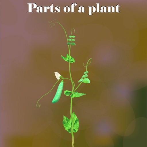 Learn Parts of a Plant icon