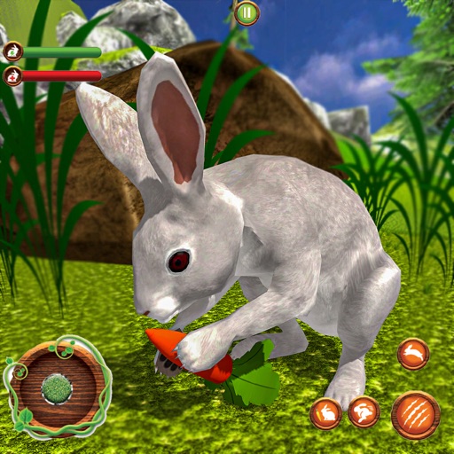 Pet Bunny Rabbit Forest Life iOS App