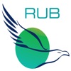RUB Money Transfer icon