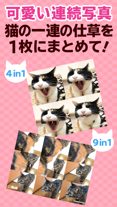 撮る猫 のスクリーンショット