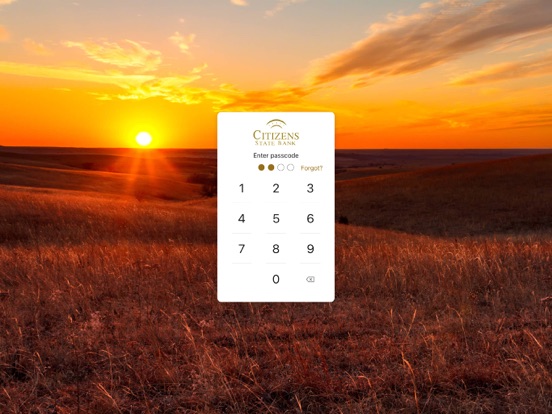 CSB KS iPad screenshot 2 - Finance app