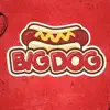 Big Dog Lanches App Negative Reviews