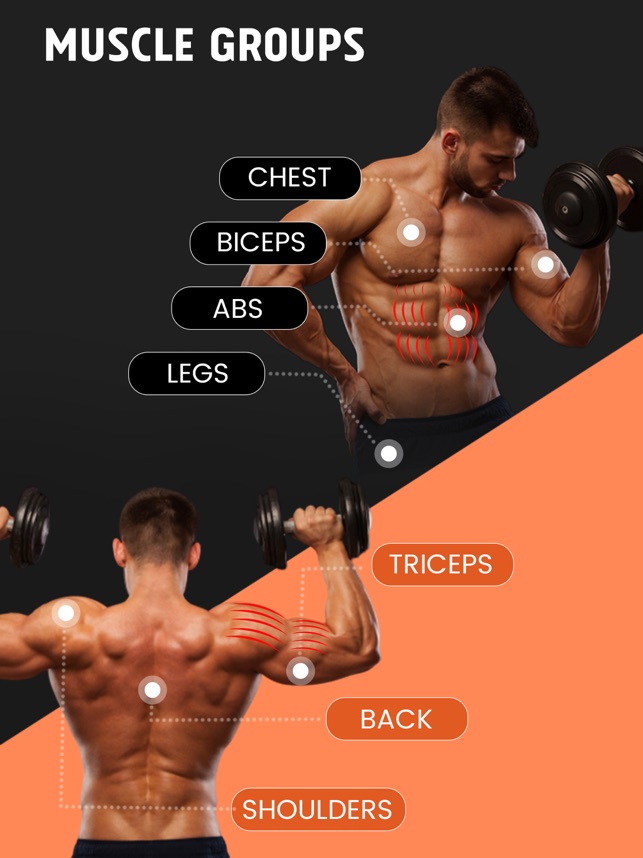 LifeBuddy Dumbbell Workout on the App Store