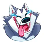Husky Boy Emoji Stickers App Contact