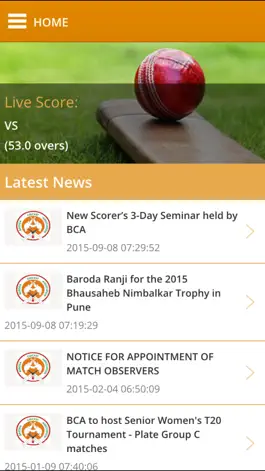 Game screenshot Baroda Cricket Association hack