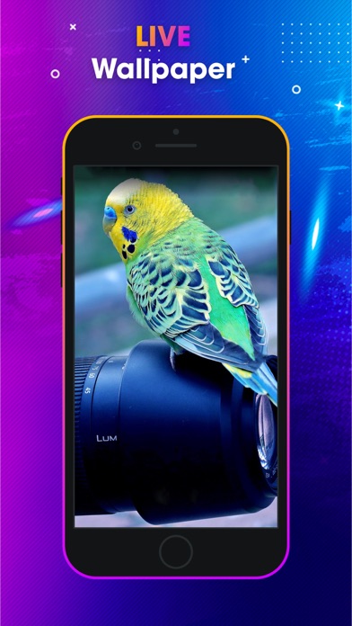 Ringtones for iPhone: Garage Screenshot