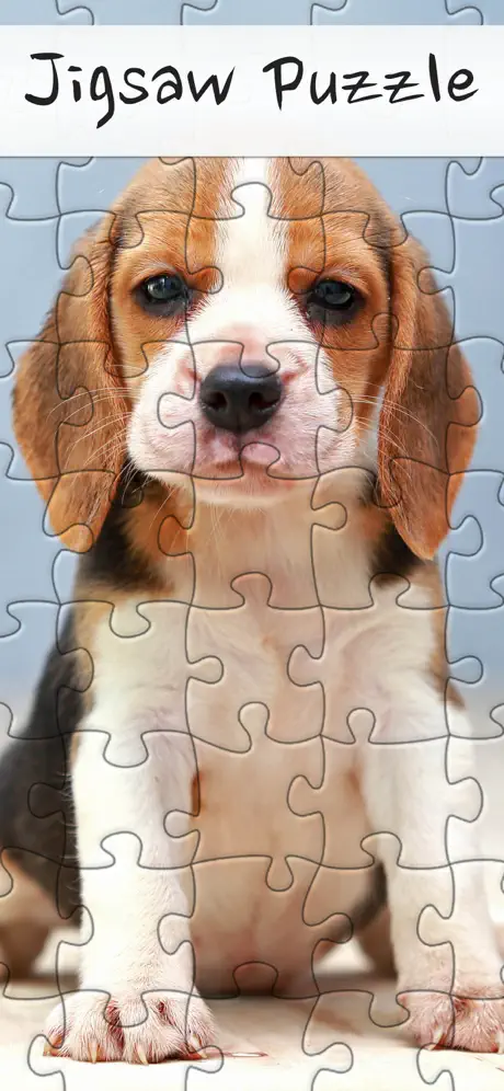 Jigsaw Puzzle App