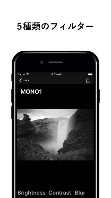 Mono Cam - B&W photo App screenshot 2