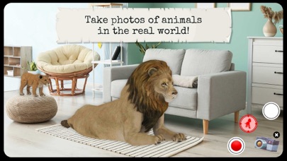 Animal World - 4D Kid Explorer Screenshot