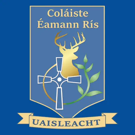Coláiste Éamann Rís Читы