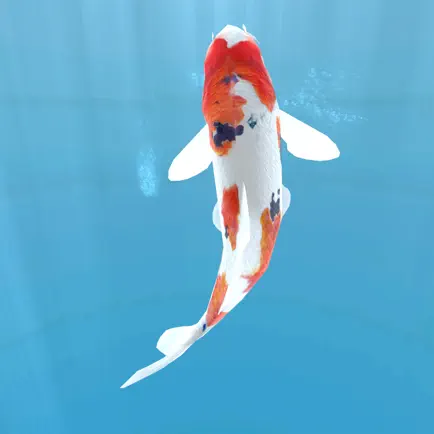 Koi - Aquarium Cheats