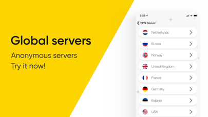 VPN service Beaver Screenshot
