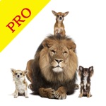 Download Animal Sounds Pro & Bird Noise app