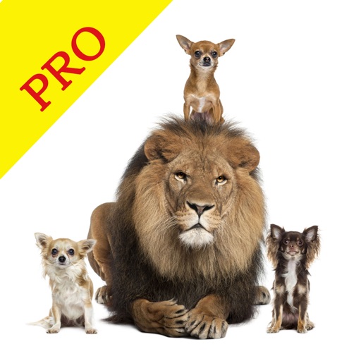 Animal Sounds Pro & Bird Noise iOS App