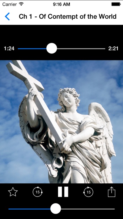 Audio Catholic Books screenshot-3