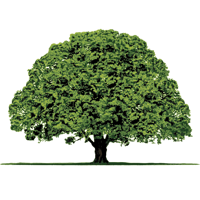 RMB Wealth Mgmt Client Portal