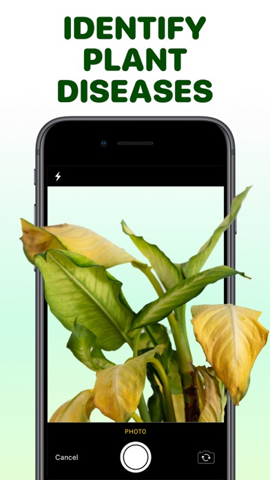 Plant Identifier Aрр Screenshot