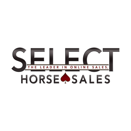 Select Online Horse Sales