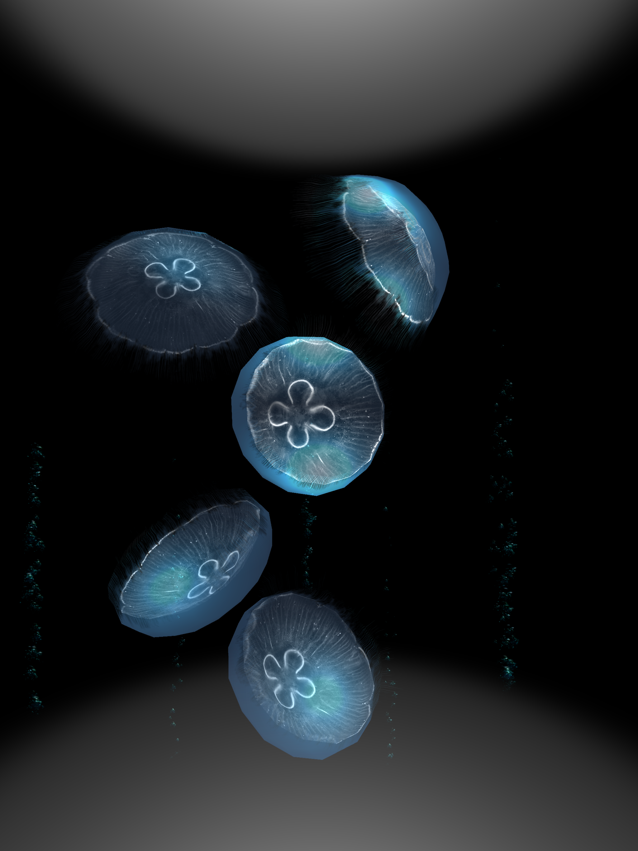 JellyfishGO -  Appreciation