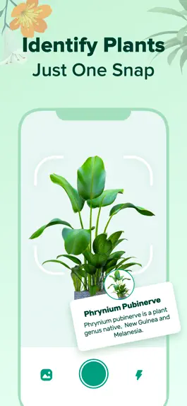 Game screenshot PlantNow-Plant Identification mod apk