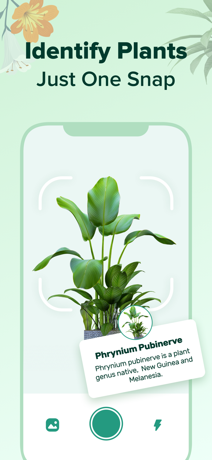PlantNow-Plant Identification