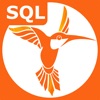 SQL Recipes Pro icon