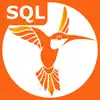 SQL Recipes Pro App Feedback