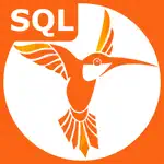 SQL Recipes Pro App Problems