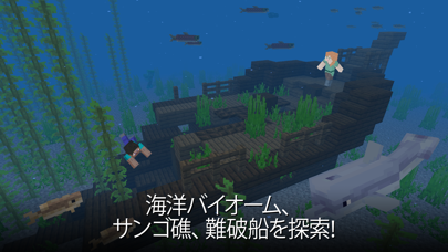 screenshot of Minecraft 10