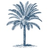 Casa Palmera icon