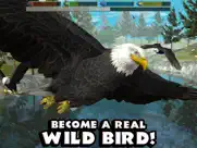 ultimate bird simulator ipad capturas de pantalla 1