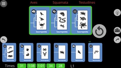 Clades Soloのおすすめ画像5