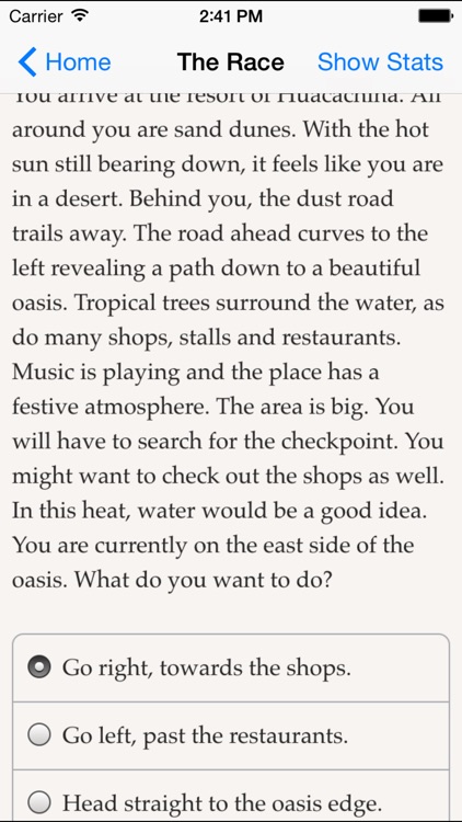 The Race screenshot-4