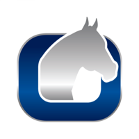 Loly Assessoria Leilões