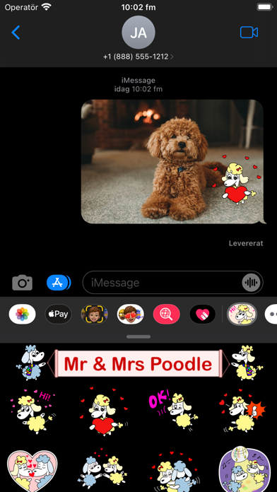 Mr & Mrs Poodle Screenshot