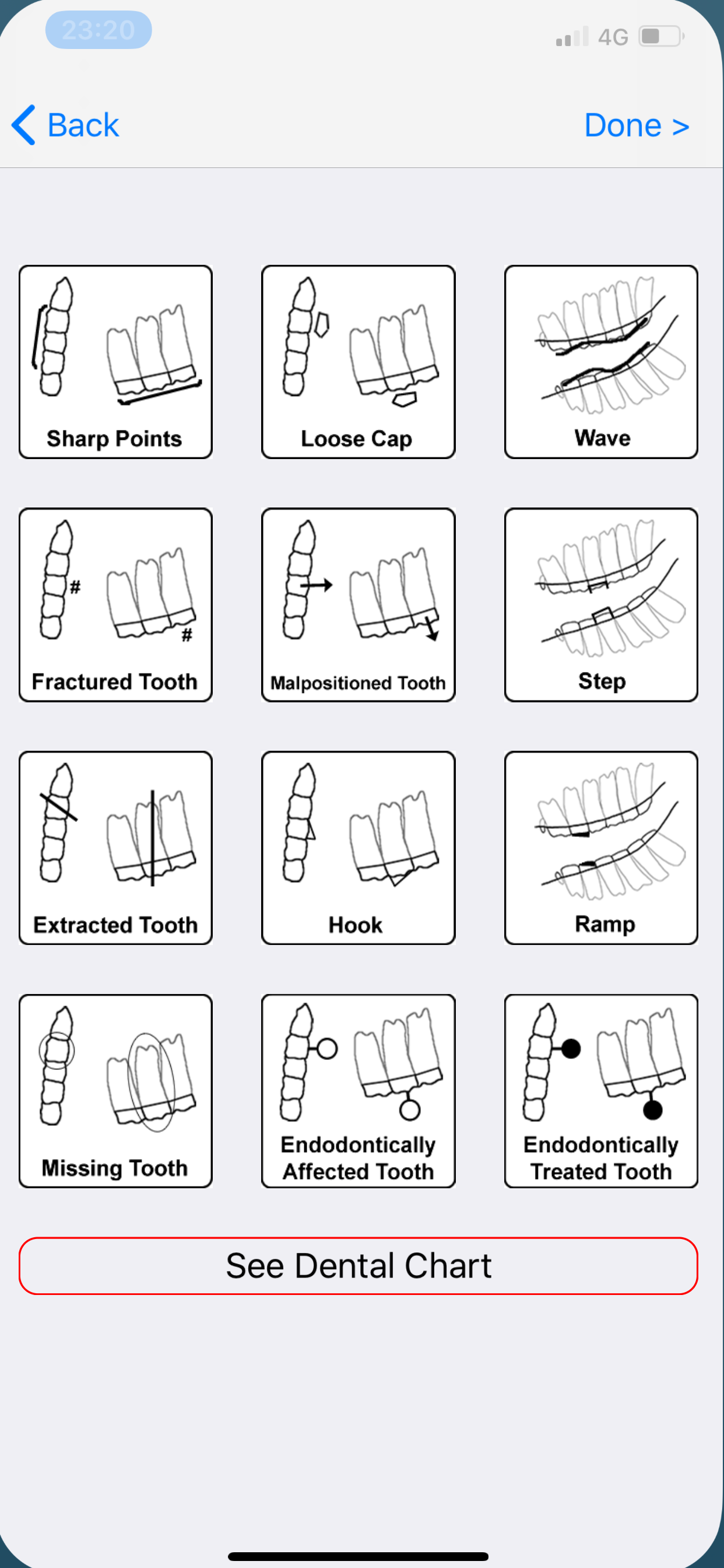EVA: Equine Forms screenshot 6