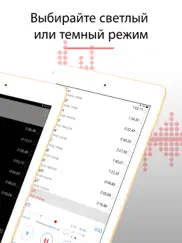 alon dictaphone - Диктофон айпад изображения 2