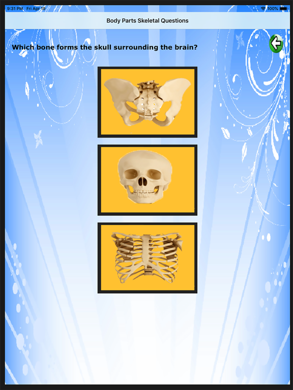 Body Parts Skeletal & Internal iPad screenshot