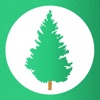Pine - Deep Breathing icon