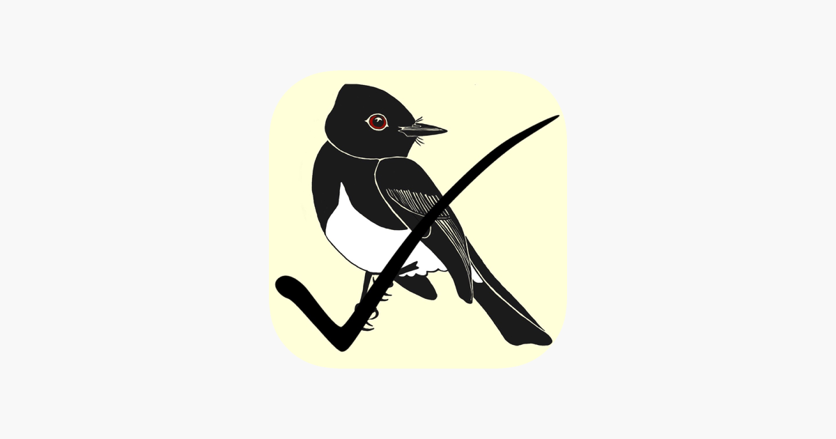 American Robin — Santa Clara Valley Audubon Society