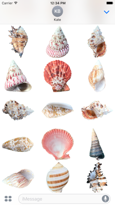 Shells! screenshot 3