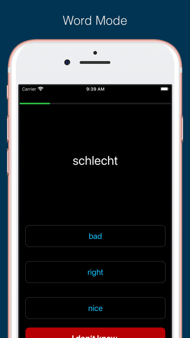 German Vocabulary and Grammar Screenshot