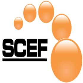 螢幕擷取畫面 (3) SCEF Gerencial