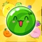 Icon Watermelon Game: Fruit Match