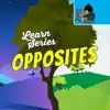 Opposites for Kids problems & troubleshooting and solutions