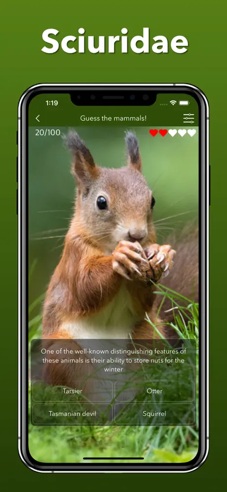 Animals - Educational Games